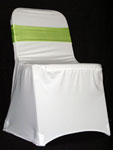 White Chair Cover - Light Green Band